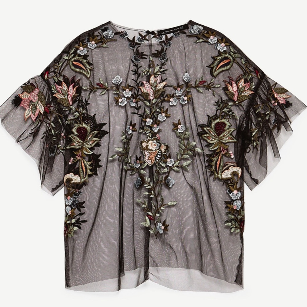 Zara sheer top